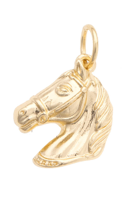 Horsehead Charm