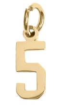 College Block Number Charm