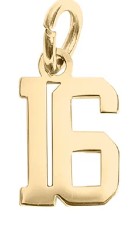College Block Number Charm