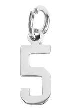 College Block Number Charm